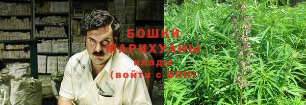 прущие крисы Абаза