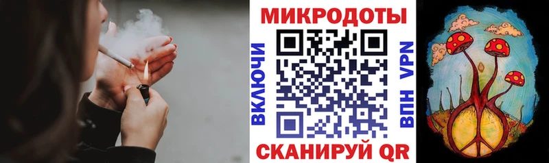 Псилоцибиновые грибы Psilocybine cubensis  Трубчевск 